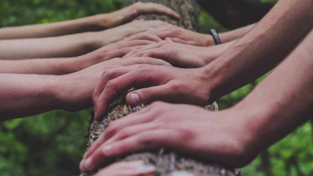 Common Ground, by Joe Battaglia