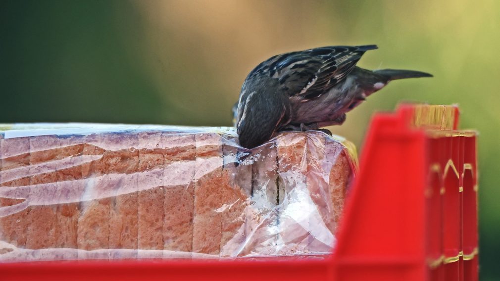 Relief for Thieves